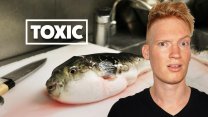 Photo Thumbnail of Eating Toxic Blowfish in Tokyo