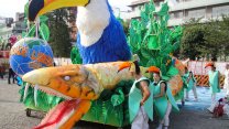 Photo Thumbnail of Biggest Samba Carnival In Japan: Asakusa Samba In Tokyo