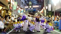Photo Thumbnail of 1.3 Million Tourists At The Annual Japanese Awa Odori Street Dance Festival