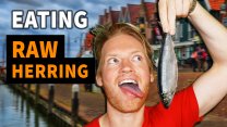 Photo Thumbnail of Eating Raw Herring in Holland