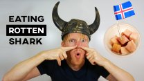 Photo Thumbnail of Eating Rotten Shark in Iceland