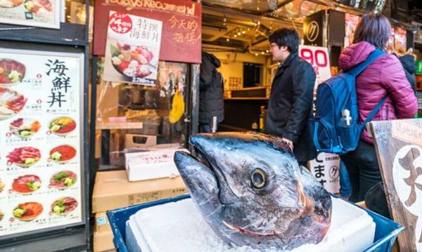 Tsukiji Fish Market