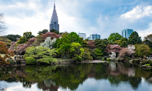 Shinjuku Gyoen National Garden