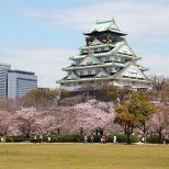 Osaka Castle