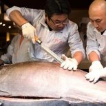 Public Tuna Cutting