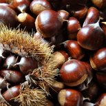 Heisse Marroni Chestnuts