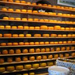 Amsterdam Cheese Company