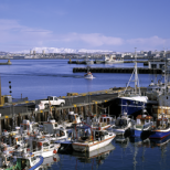 Reykjavík Harbour