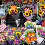 Mong Kok Flower Market