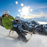 Rigi Sledding