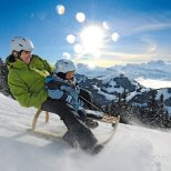 Rigi Sledding