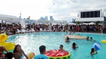 Photo Thumbnail of Go Wild! at Cabana Pool Bar in Toronto