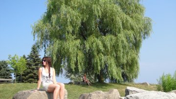 Astonishing High Cliffs At The Scarborough Bluffs Near Toronto