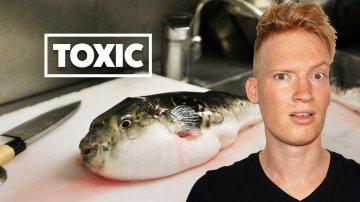 Eating Toxic Blowfish in Tokyo