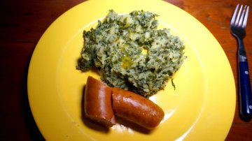 Eating Dutch Kale