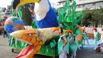 Biggest Samba Carnival In Japan: Asakusa Samba In Tokyo