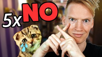 5 Things NOT to do at a Cat Cafe in Harajuku