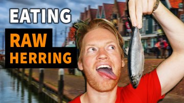 Eating Raw Herring in Holland