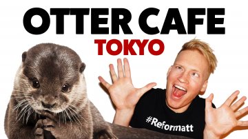 Otter Cafe in Tokyo