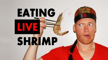 Eating Live Shrimp in Shanghai