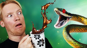 Best Snake Cafe in Tokyo