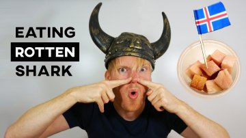 Eating Rotten Shark in Iceland