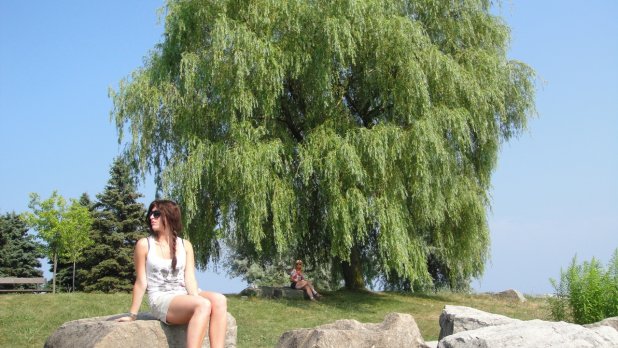 Astonishing High Cliffs At The Scarborough Bluffs Near Toronto
