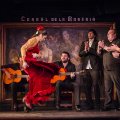 Flamenco Show