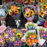 Mong Kok Flower Market