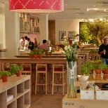 Vapiano (bonus)
