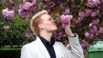 Photo Thumbnail of Cherry Blossoms At The Shinjuku Gyoen National Garden In Tokyo