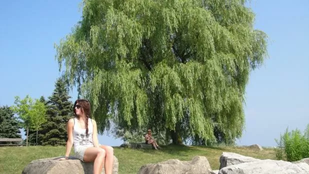 Astonishing High Cliffs At The Scarborough Bluffs Near Toronto