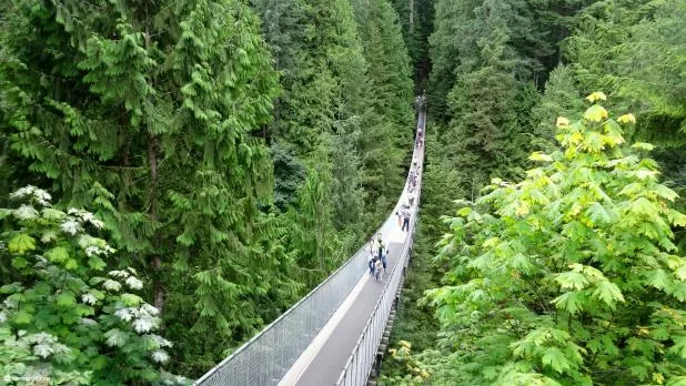 Capilano Suspension Bridge in Vancouver