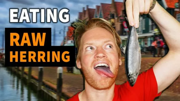 Eating Raw Herring in Holland