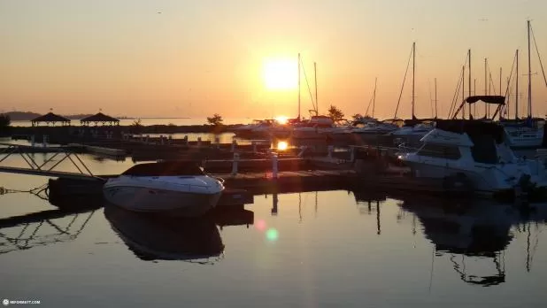 Catching Giant Salmons In Lake Ontario