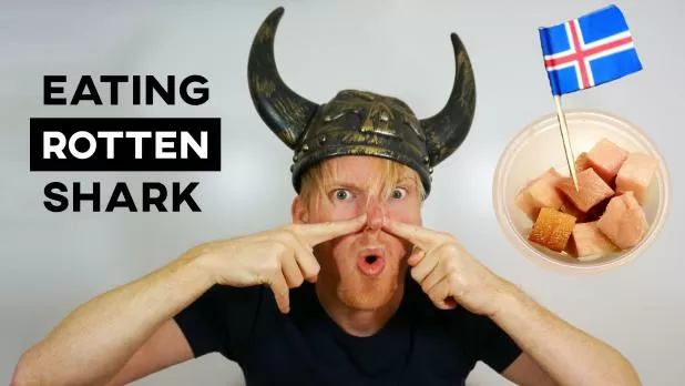 Eating Rotten Shark in Iceland